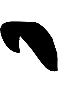 Flysurfer - ERA 3 Kite