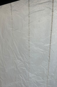 Cabrinha-Drifter 2024 Kite (2nd)