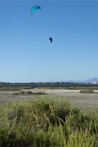 Duotone Kiteboarding-Evo D/LAB 2027 Aile de Kite