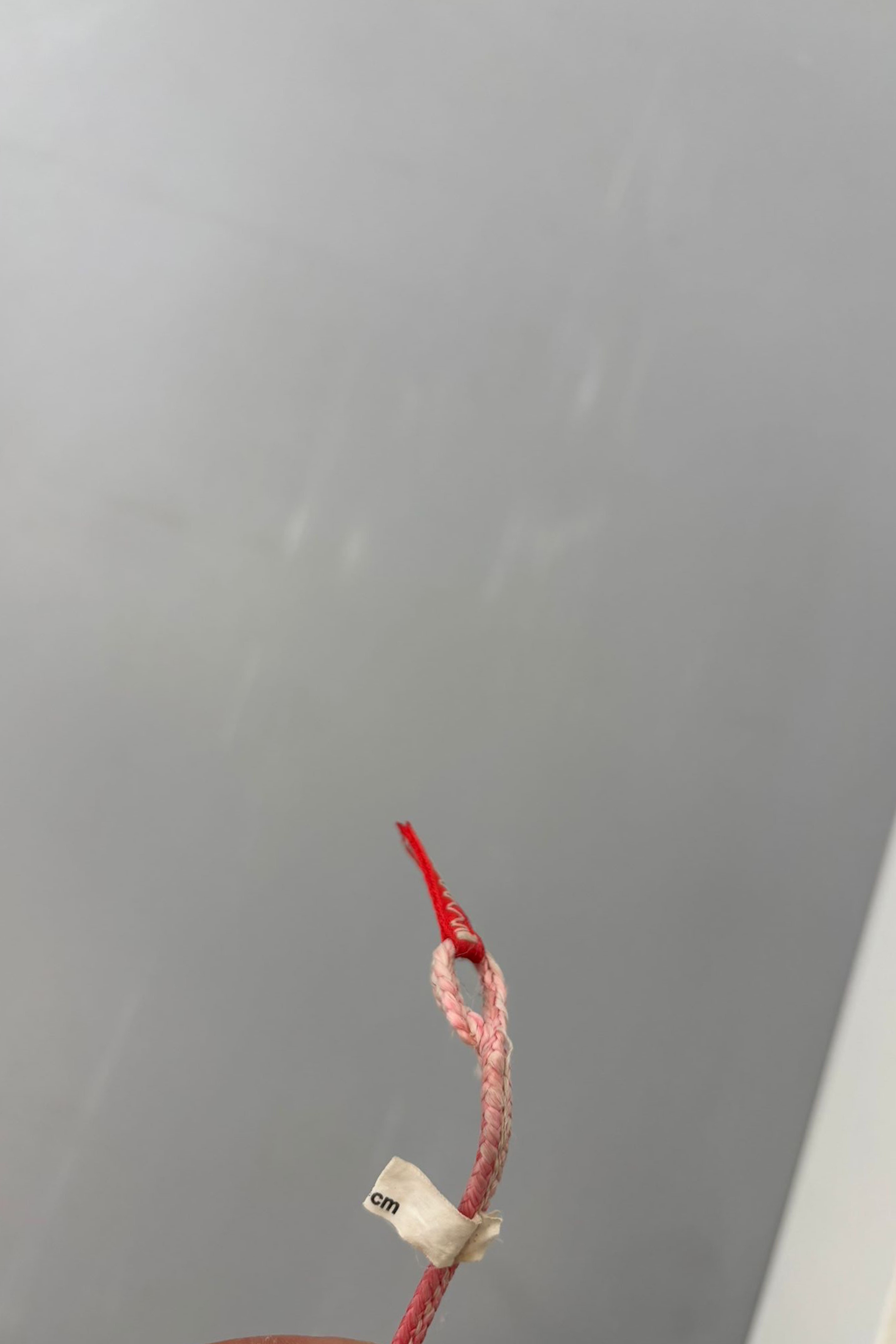 Duotone Kiteboarding-Rebel SLS 2024 Kite (2nd)